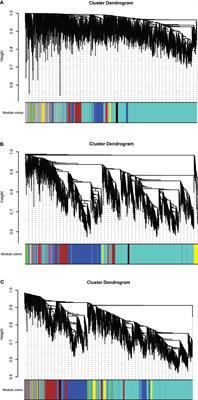 Identification of Key LncRNAs and Pathways in Prediabetes and Type 2 Diabetes Mellitus for Hypertriglyceridemia Patients Based on Weighted Gene Co-Expression Network Analysis